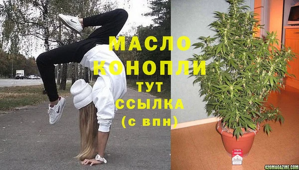 прущие грибы Медногорск