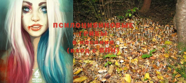 бошки Гусиноозёрск