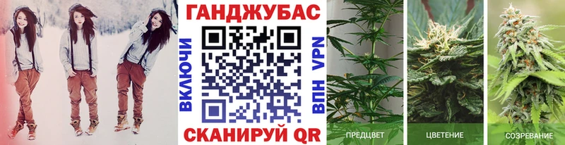 мега ONION Новая Ладога Конопля конопля купить цена